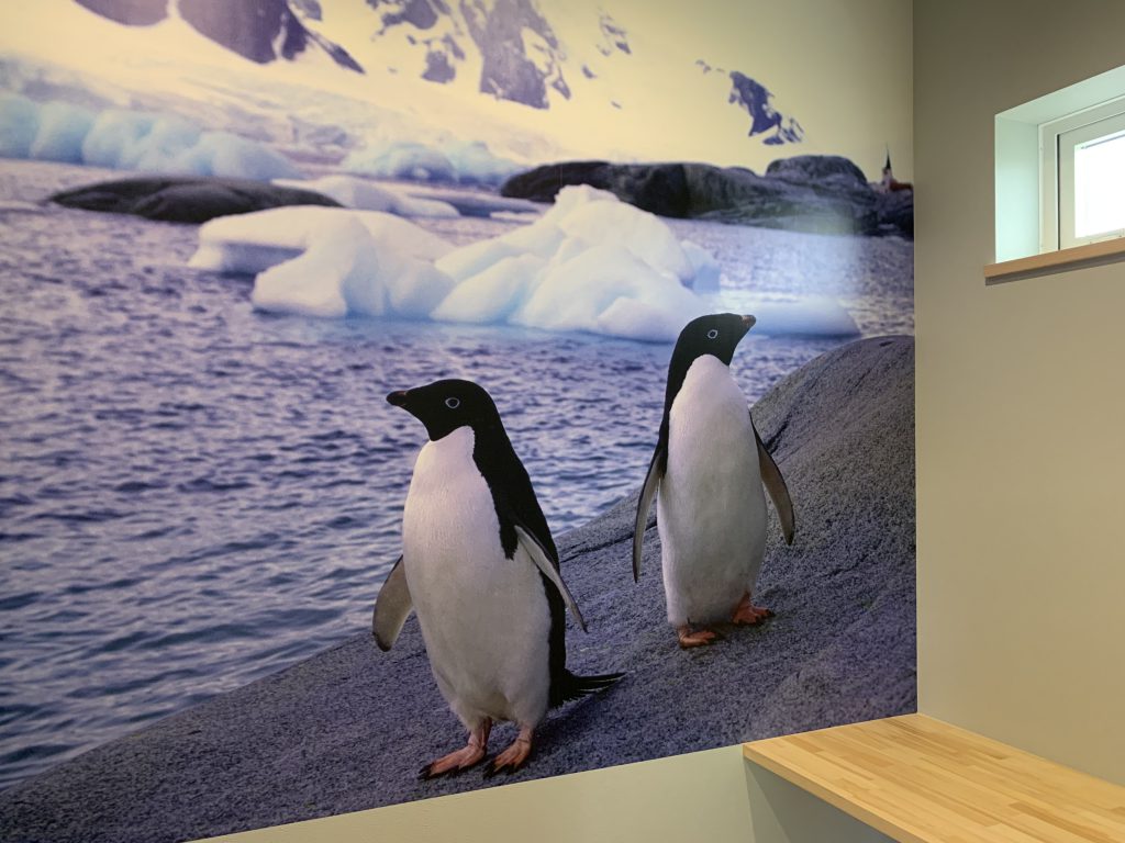 ペンギン 全館空調の住宅なら自由設計のアトリエ宮 群馬県前橋市